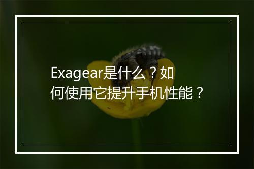 Exagear是什么？如何使用它提升手机性能？