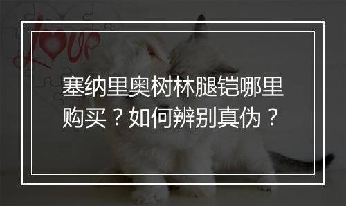 塞纳里奥树林腿铠哪里购买?如何辨别真伪?