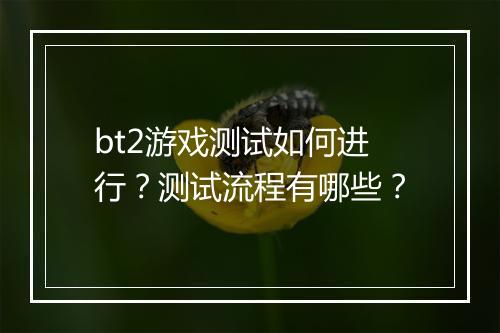 bt2游戏测试如何进行?测试流程有哪些?