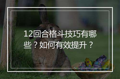 12回合格斗技巧有哪些?如何有效提升?