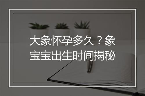 大象怀孕多久?象宝宝出生时间揭秘