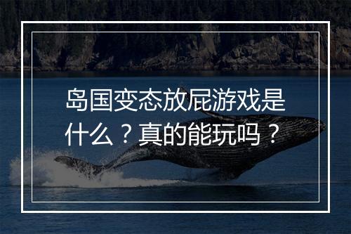 岛国变态放屁游戏是什么？真的能玩吗？