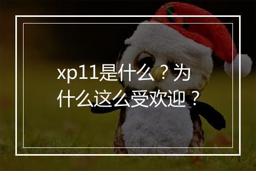 xp11是什么？为什么这么受欢迎？