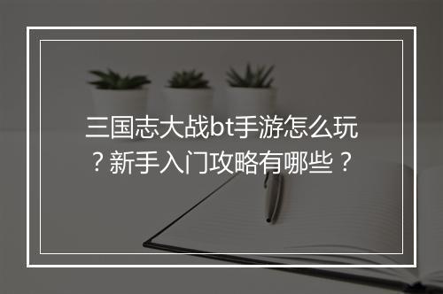 三国志大战bt手游怎么玩？新手入门攻略有哪些？