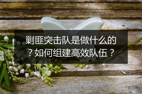 剿匪突击队是做什么的?如何组建高效队伍?