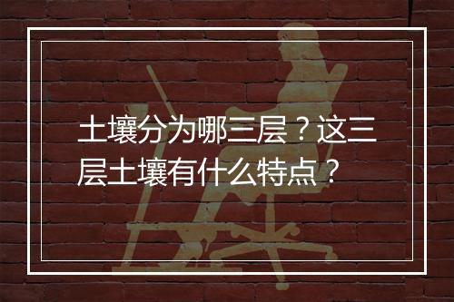 土壤分为哪三层？这三层土壤有什么特点？