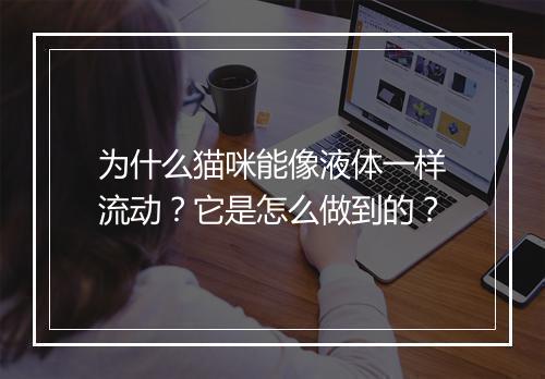 为什么猫咪能像液体一样流动？它是怎么做到的？