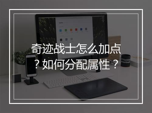 奇迹战士怎么加点？如何分配属性？