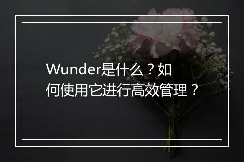 Wunder是什么？如何使用它进行高效管理？
