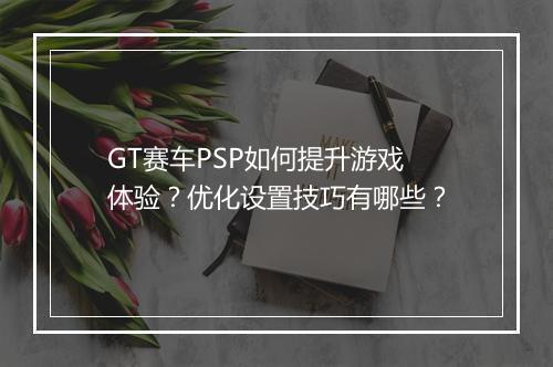 GT赛车PSP如何提升游戏体验？优化设置技巧有哪些？