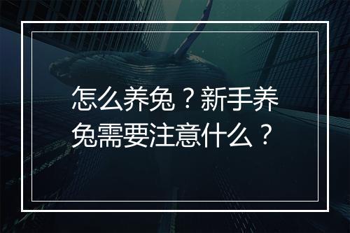 怎么养兔？新手养兔需要注意什么？