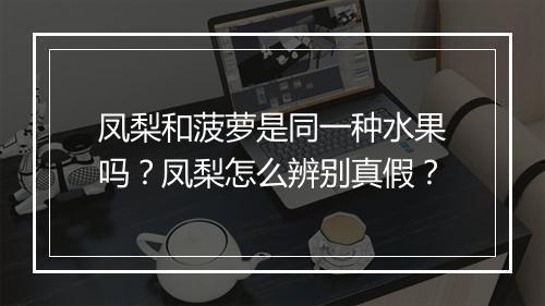 凤梨和菠萝是同一种水果吗？凤梨怎么辨别真假？