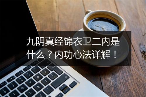 九阴真经锦衣卫二内是什么？内功心法详解！