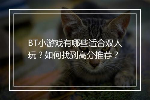 BT小游戏有哪些适合双人玩？如何找到高分推荐？