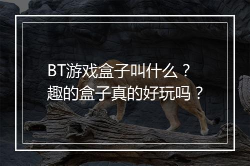 BT游戏盒子叫什么？趣的盒子真的好玩吗？