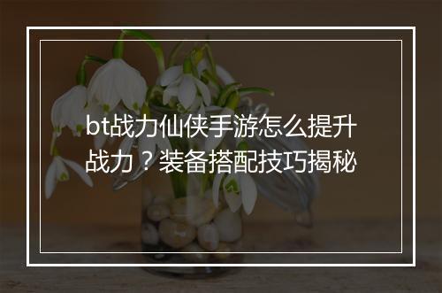 bt战力仙侠手游怎么提升战力?装备搭配技巧揭秘
