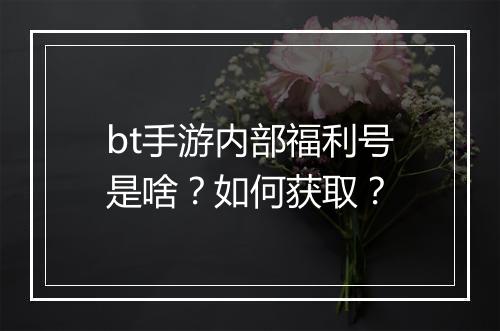 bt手游内部福利号是啥?如何获取?