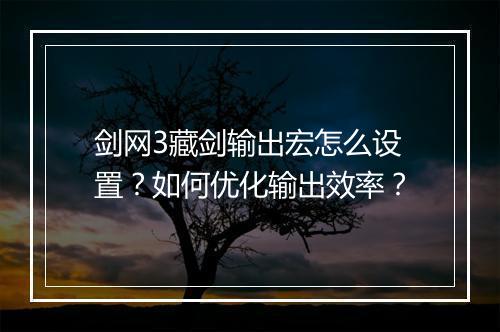 剑网3藏剑输出宏怎么设置？如何优化输出效率？