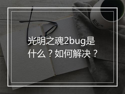 光明之魂2bug是什么？如何解决？