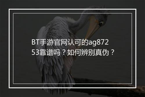 BT手游官网认可的ag87253靠谱吗？如何辨别真伪？