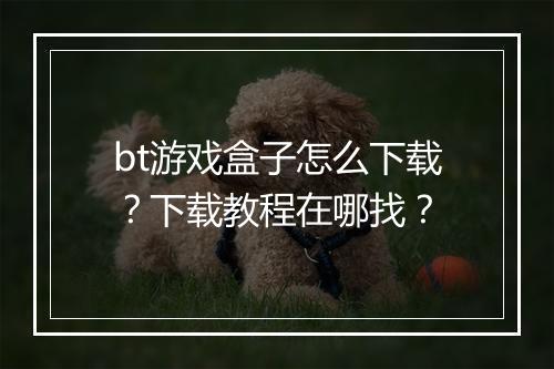 bt游戏盒子怎么下载？下载教程在哪找？