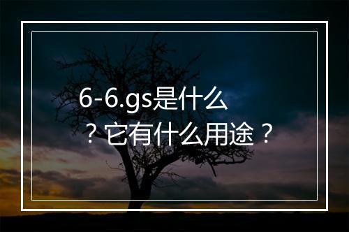 6-6.gs是什么?它有什么用途?