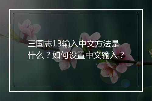三国志13输入中文方法是什么？如何设置中文输入？