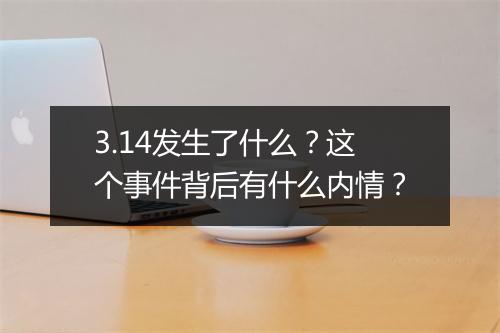 3.14发生了什么？这个事件背后有什么内情？