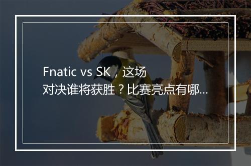 Fnatic vs SK，这场对决谁将获胜？比赛亮点有哪些？