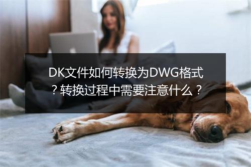 DK文件如何转换为DWG格式?转换过程中需要注意什么?