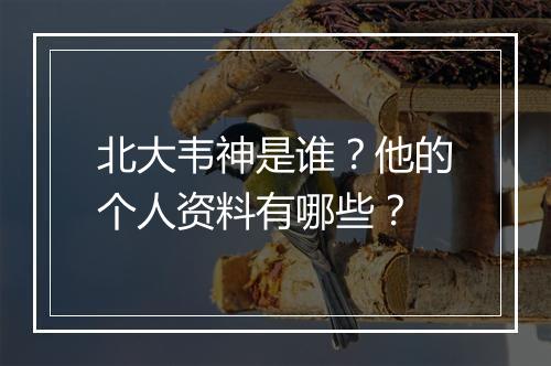 北大韦神是谁？他的个人资料有哪些？