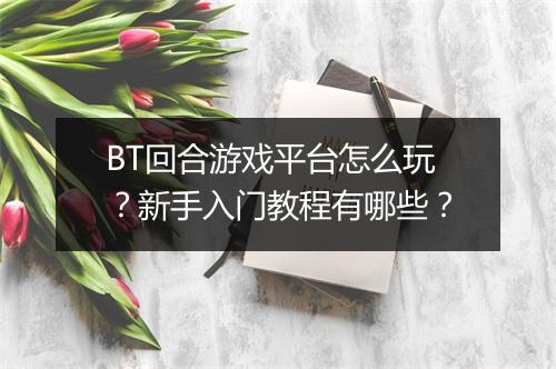 BT回合游戏平台怎么玩？新手入门教程有哪些？