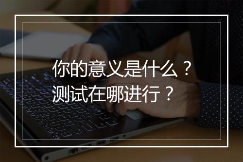 你的意义是什么？测试在哪进行？