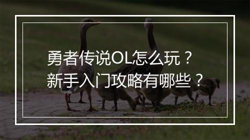 勇者传说OL怎么玩?新手入门攻略有哪些?