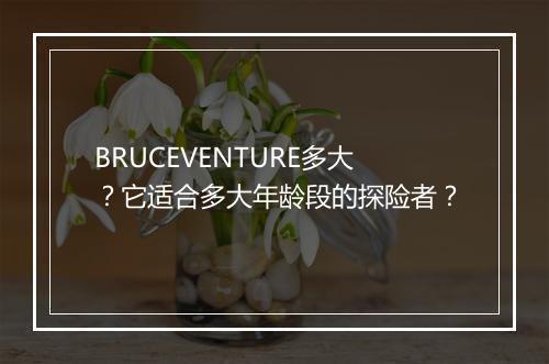 BRUCEVENTURE多大？它适合多大年龄段的探险者？