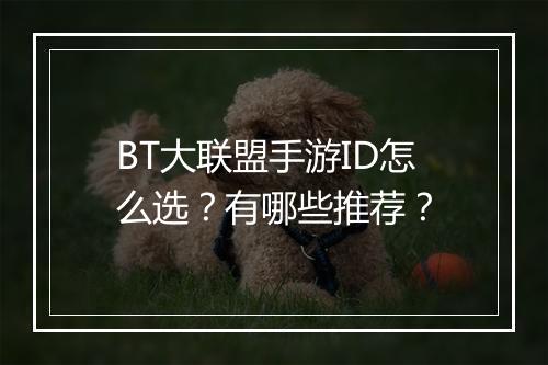 BT大联盟手游ID怎么选?有哪些推荐?