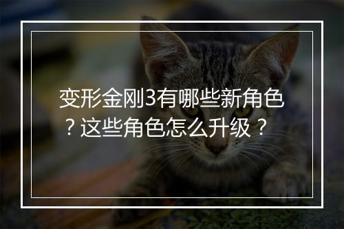 变形金刚3有哪些新角色？这些角色怎么升级？