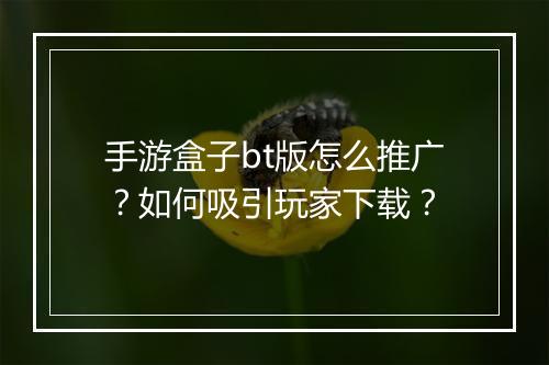 手游盒子bt版怎么推广？如何吸引玩家下载？