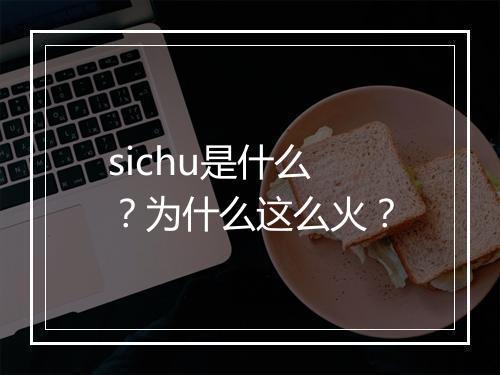 sichu是什么？为什么这么火？