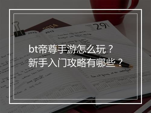 bt帝尊手游怎么玩？新手入门攻略有哪些？