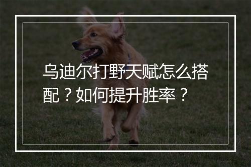 乌迪尔打野天赋怎么搭配？如何提升胜率？