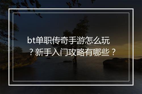bt单职传奇手游怎么玩？新手入门攻略有哪些？