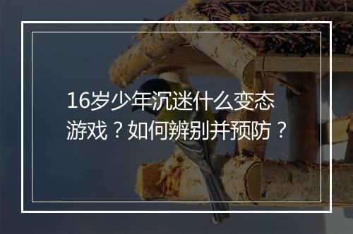16岁少年沉迷什么变态游戏？如何辨别并预防？