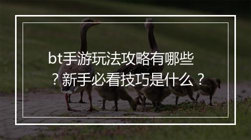 bt手游玩法攻略有哪些？新手必看技巧是什么？