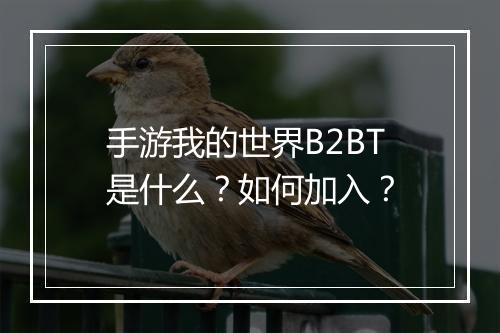 手游我的世界B2BT是什么？如何加入？