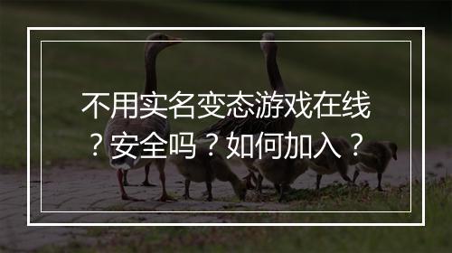 不用实名变态游戏在线?安全吗?如何加入?