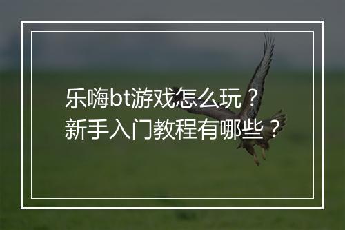 乐嗨bt游戏怎么玩?新手入门教程有哪些?