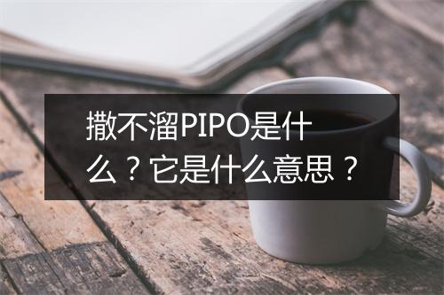 撒不溜PIPO是什么？它是什么意思？