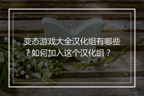 变态游戏大全汉化组有哪些?如何加入这个汉化组?