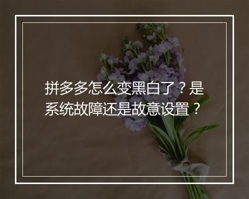 拼多多怎么变黑白了?是系统故障还是故意设置?